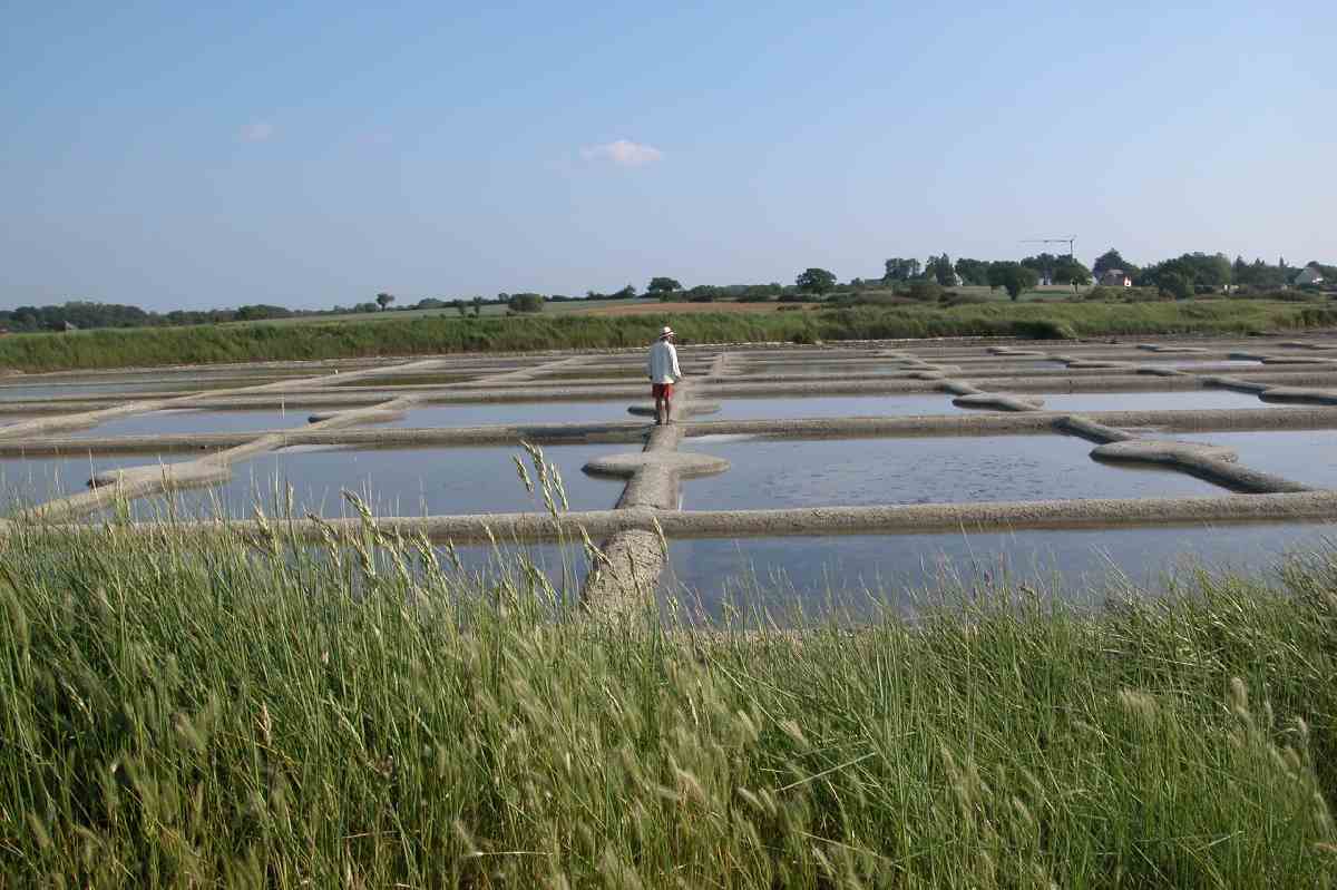 Img01SalineDeNicolas.JPG (reduit)