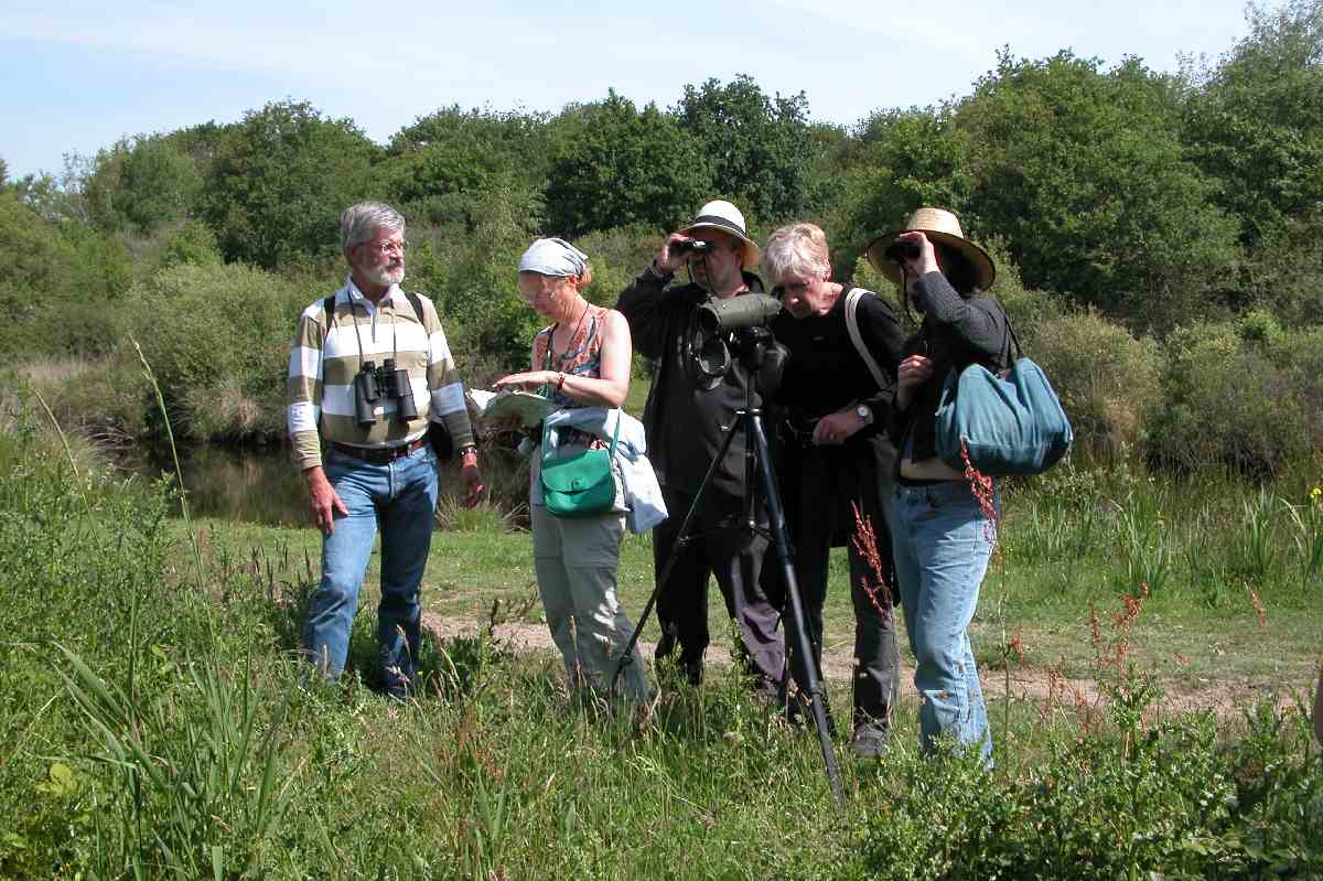 Img13ParcDeBriere.JPG (reduit)