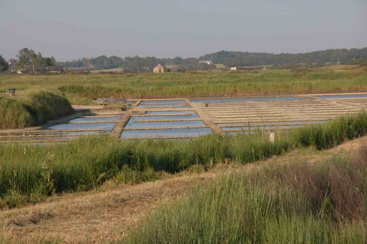 Img33SalineDeNicolas.JPG (reduit)