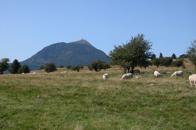 05PuyDeDome.JPG (reduit)