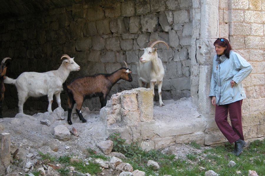 041FortDeJouy.JPG (reduit)