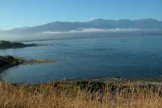 101Kaikoura.JPG (reduit)
