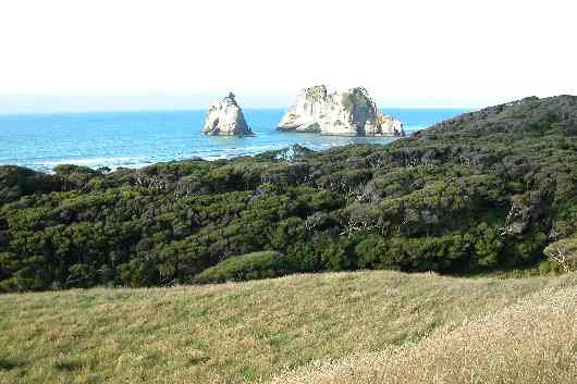 130Farewell Spit.JPG (reduit)