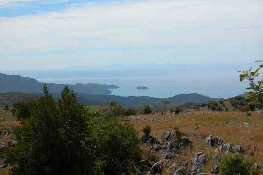 153.JPG (reduit)