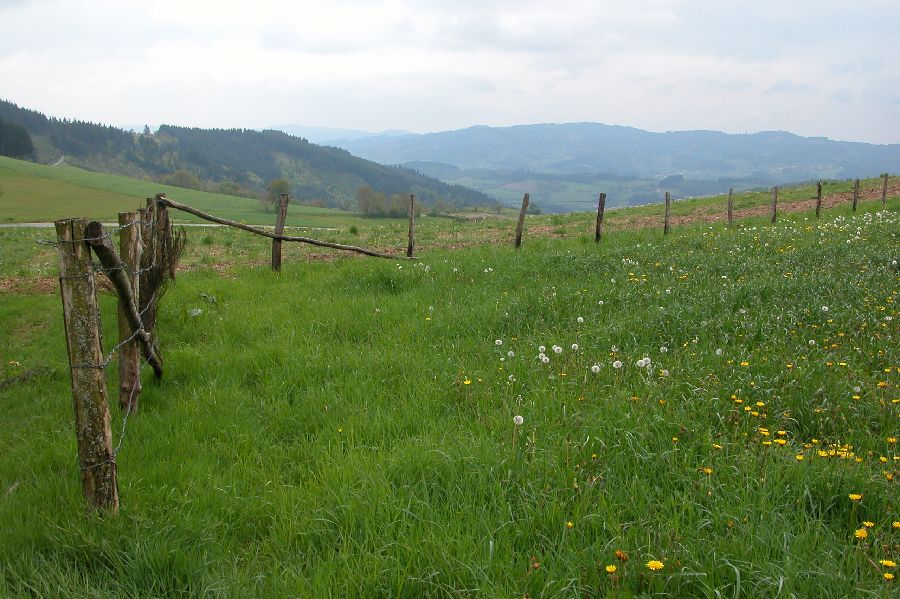 25.JPG (reduit)
