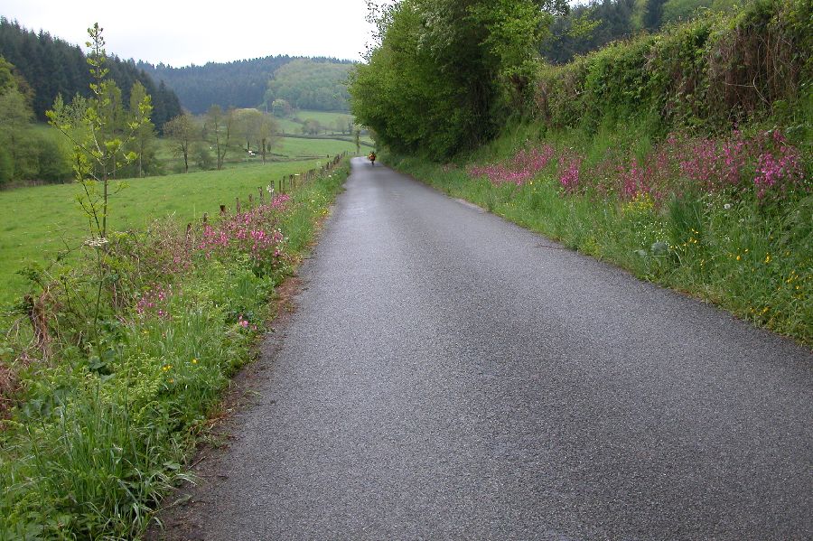 27.JPG (reduit)