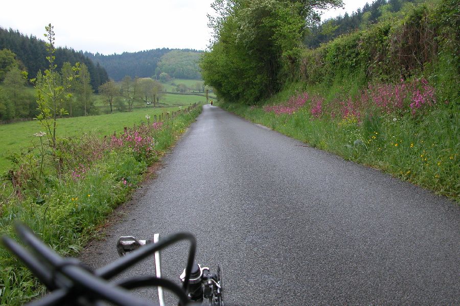 28.JPG (reduit)