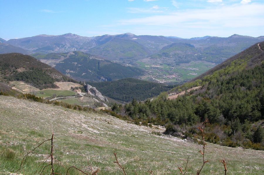 087.JPG (reduit)