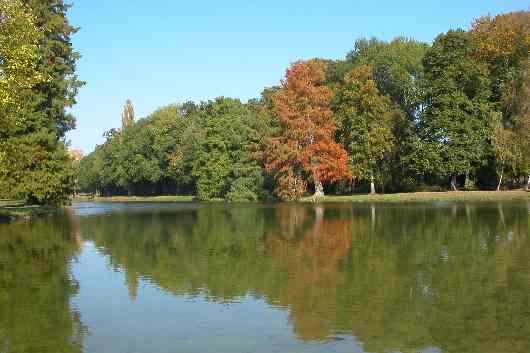 07.JPG (reduit)