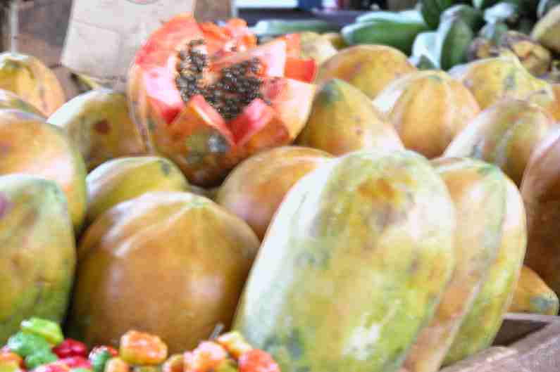 337FrutaLaBomba.JPG (reduit)