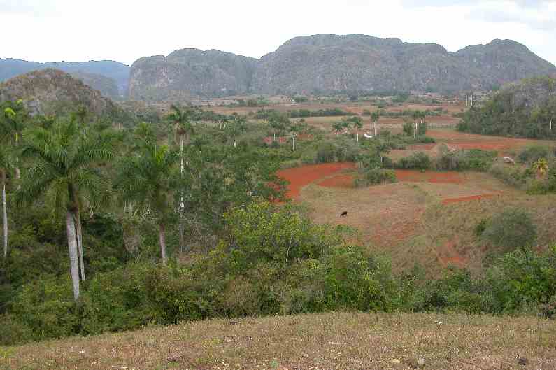 072ValleeVignales.JPG (reduit)