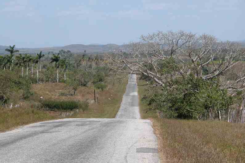 221CampagneDeCienfuegos.JPG (reduit)